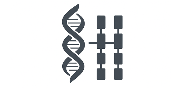 Optimizing Photonic Structures with Large Language Model Driven Algorithm Discovery